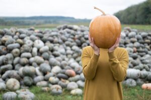Ile dyni z hektara można zebrać? Plon, koszty uprawy i opłacalność