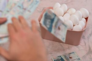 Hodowla kur na jajka – opłacalność, koszty i możliwe zyski